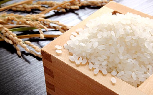 【数量限定】原田農園のこだわり精米 5kg ～関金の清流で育てた自慢のお米～