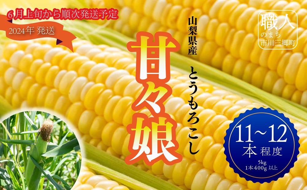 【先行予約】2024年6月上旬から発送 山梨県産：甘々娘（とうもろこし）5kg箱　塩島農園[5839-1221]