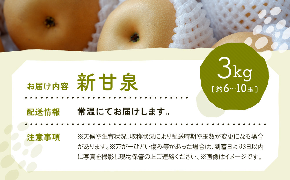 新甘泉梨 3kg箱(約6～10玉)