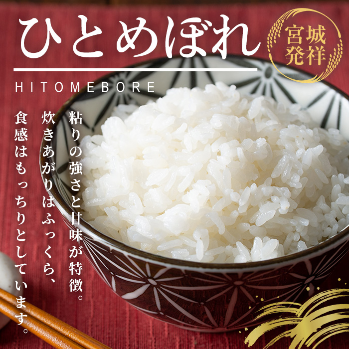 ≪令和7年産 新米≫ 登米市産 ひとめぼれ 10kg(5kg×2袋) 冷蔵米 お米 おこめ 米 コメ 白米 ご飯 ごはん おにぎり お弁当 佐沼交通株式会社【楽らく館】tm473