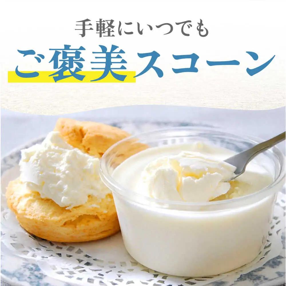 スコーンクリームサンド アソートセット 10P 多治見市/famfam スコーン 洋菓子 個包装 詰め合わせ 詰合せ おまかせ スイーツ デザート クリーム 焼き菓子 セット 朝食 おやつ ティータ