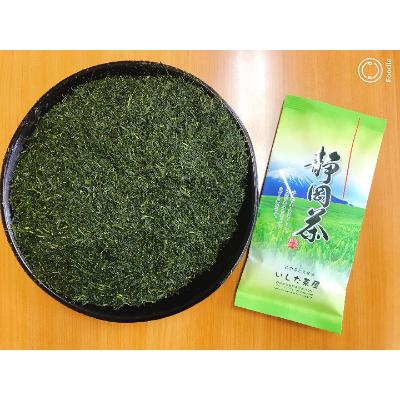 ふるさと納税 森町 訳あり静岡茶100g×5袋【森町SF】