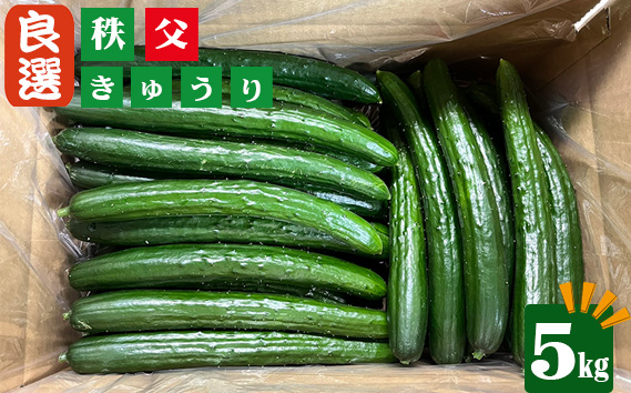 
            No.503 秩父きゅうり良選5kg ／ ちちぶ丸山農園 キュウリ 胡瓜 ブランド野菜 埼玉県
          