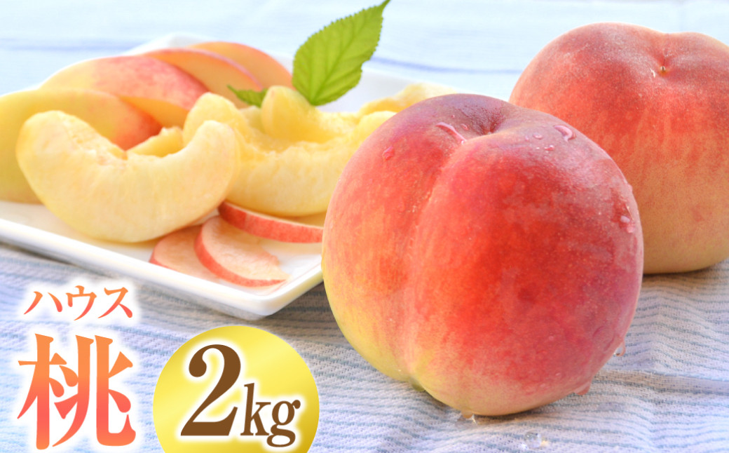 ハウスもも 約2kg（品種おまかせ）旬の桃 桃 もも 旬 果物 くだもの フルーツ 果実 デザート 【2026年5月下旬-6月上旬発送予定】