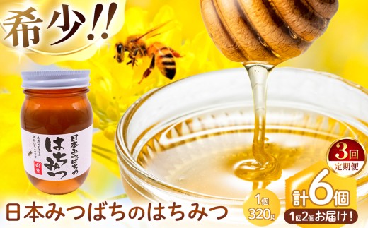 【 定期便 3回 】和水町産 日本蜜蜂のはちみつ｢希少品｣ 320g×2個 | 熊本県 熊本 くまもと 和水町 なごみまち なごみ ハチミツ ハチミツ 蜂蜜 日本蜜蜂 国産 320g×2個 瓶