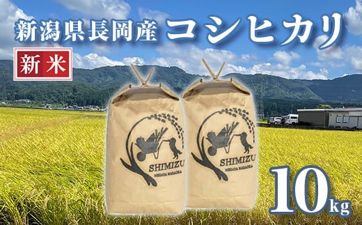 
            N5-101A新潟県長岡産コシヒカリ10kg
          