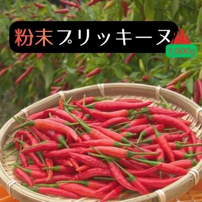 ふるさと納税 熊野市 【テレビで紹介されました】【熊野唐辛子】プリッキーヌ(粉末) 1000g