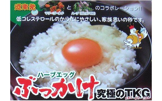 無添加ハーブエッグぶっかけ究極のTkg産みたて新鮮タマゴ ふるさと納税 卵 F4F-0797
