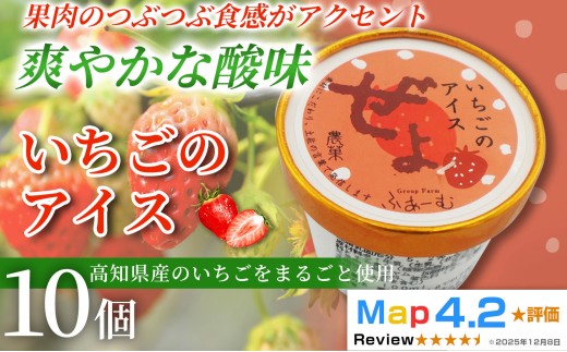 いちご アイス 100ml×10個 アイスクリーム 人気 ご当地アイス 高知県 イチゴ 苺 いちご味 いちごアイス スイーツ デザート お菓子 おやつ ヘルシー 高知県産   氷菓 手作り 酸味 甘み 濃厚 ジューシー 果物  フルーツ 話題 定番 ホームパーティー おもてなし 詰め合わせ 贈り物 贈答 冷凍 ギフト プレゼント ロングセラー リピート 安芸市 高知県