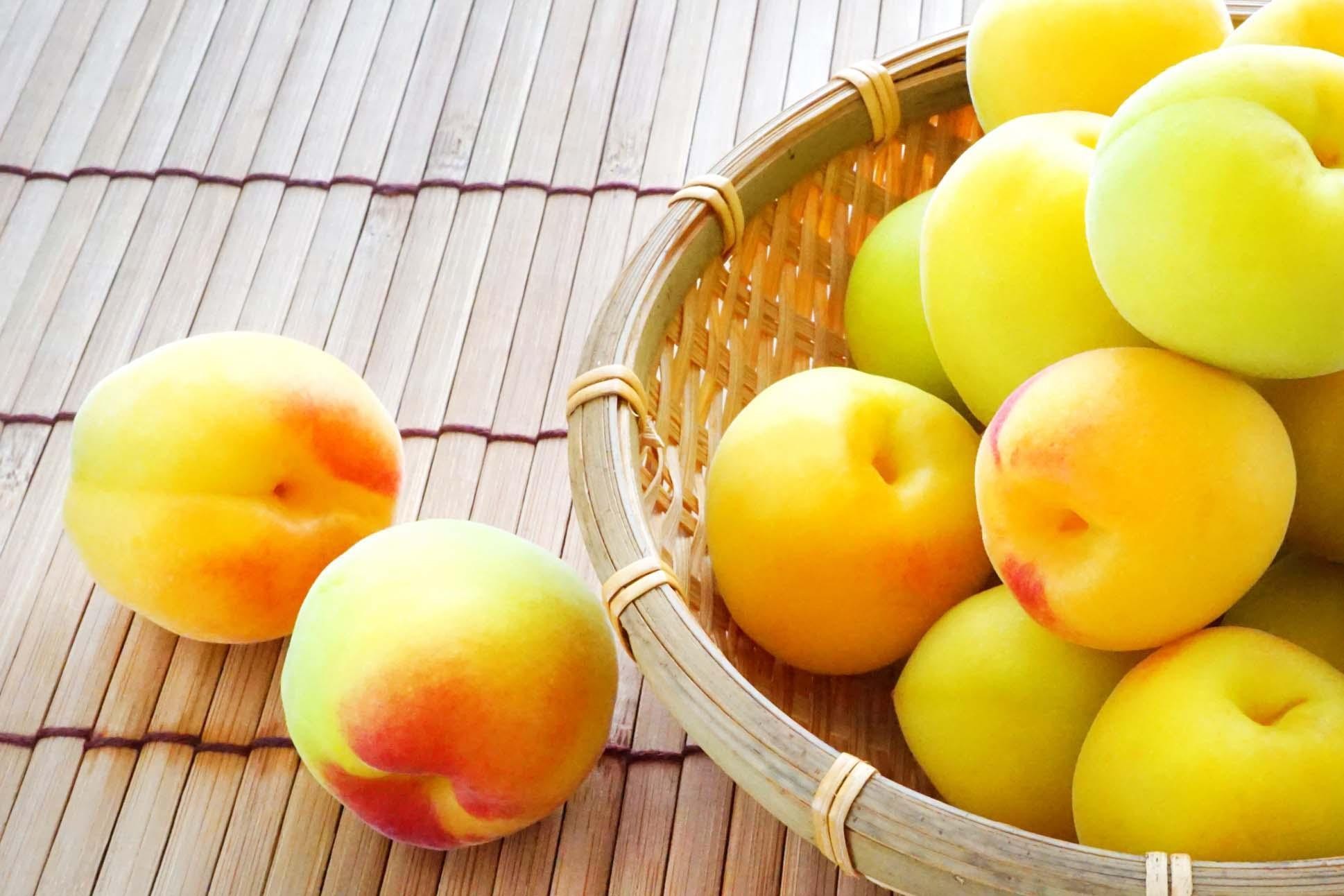 
            ［梅干・梅酒用］大玉4Lサイズ約10kg熟南高 生梅 赤秀品＜2026年6月上旬～7月7日発送予定＞［ART02］
          