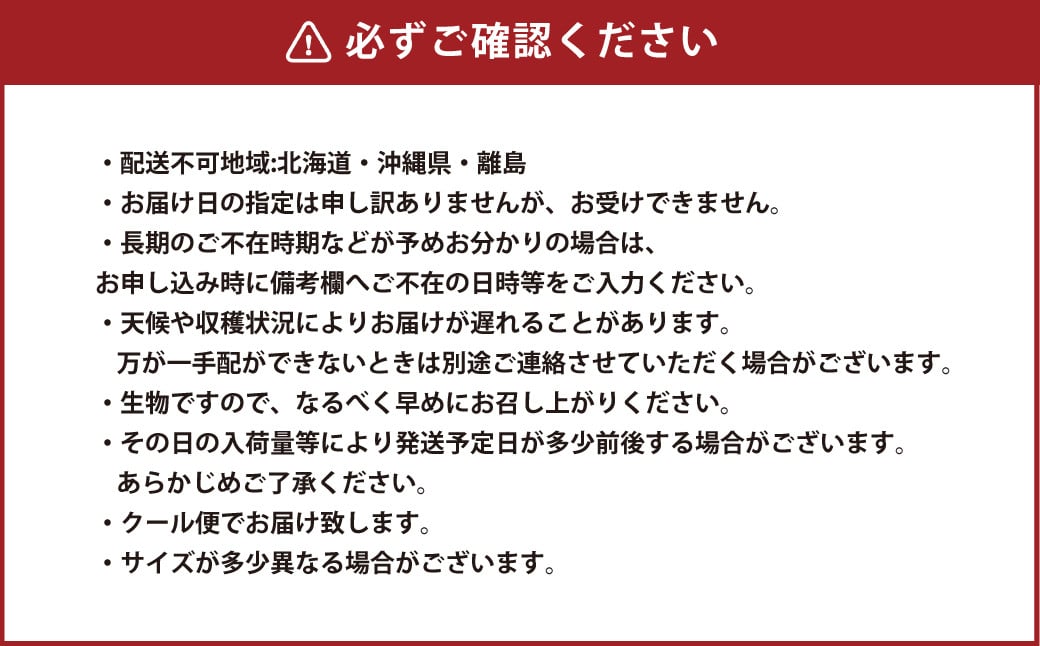 岡山白桃 エース 3玉×約200g（Lサイズ） 計約600g 岡山県産