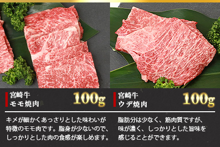 【3D冷凍】宮崎牛 6部位 食べ比べ 焼肉セット 【大人気 人気 ランキング上位 おすすめ オススメ 秘境 肉 国産 和牛 宮崎牛 宮崎県産和牛 肩ロース バラ モモ ウデ ロース ヒレ 焼き肉 焼肉