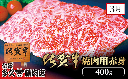 【6回定期便】佐賀牛 定期便 奇数月配送 全6回 | 牛肉 サーロイン ステーキ 焼き肉用 赤身 佐賀牛ハンバーグ 焼き肉用 カルビ 佐賀牛100％ハンバーグ ロース ステーキ _f-81