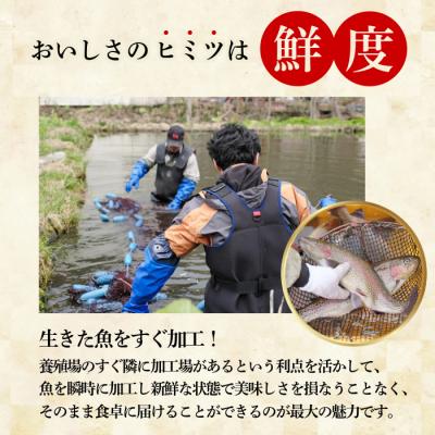 ふるさと納税 比布町 ぴっぷサーモン にじます 親子セット【にじます工房】 |  | 03