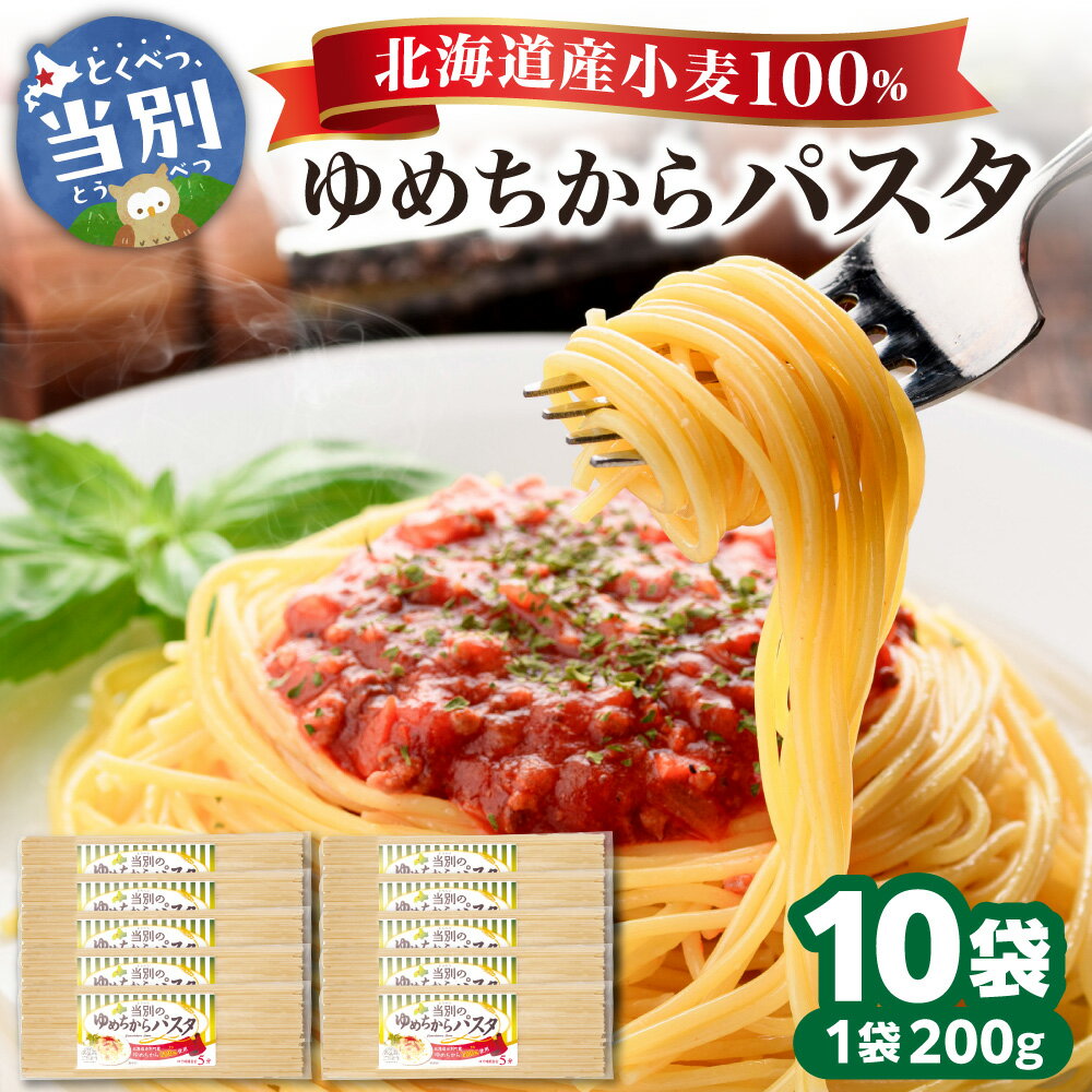 【ふるさと納税】当別町産 小麦 ゆめちから 100%乾麵 パスタ 10本 北石狩農業協同組合 小麦 北海道産 トマトパスタ クリームパスタ 和風パスタ 乾麺 スパゲッティ 北海道 当別町