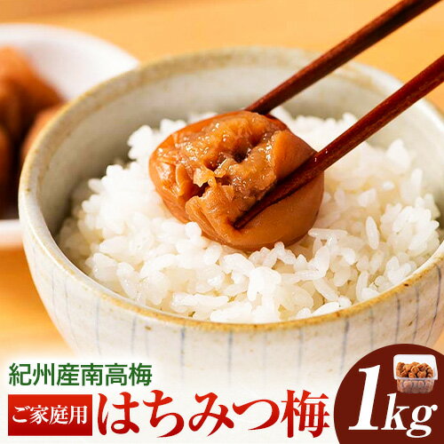 【ふるさと納税】紀州産南高梅 ご家庭用 はちみつ梅 1kg 塩分約8% 株式会社 東乃匠《30日以内に出荷(土日祝除く)》 和歌山県 日高川町 紀州南高梅 はちみつ 梅干し