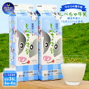 【ふるさと納税】【6カ月定期便】北海道　しべちゃ牛乳（1000ml）×6本　【定期便・ ミルク 北海道産 甘み コク 料理 デザート作り 牛乳本来の味 飲み物 北海道牛乳 毎日 朝 カルシウム 】