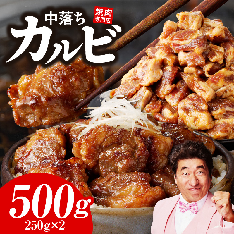 【スピード発送】焼き肉専門店 自家製タレ漬け 中落ちカルビ 合計500g（250g×2） G1599