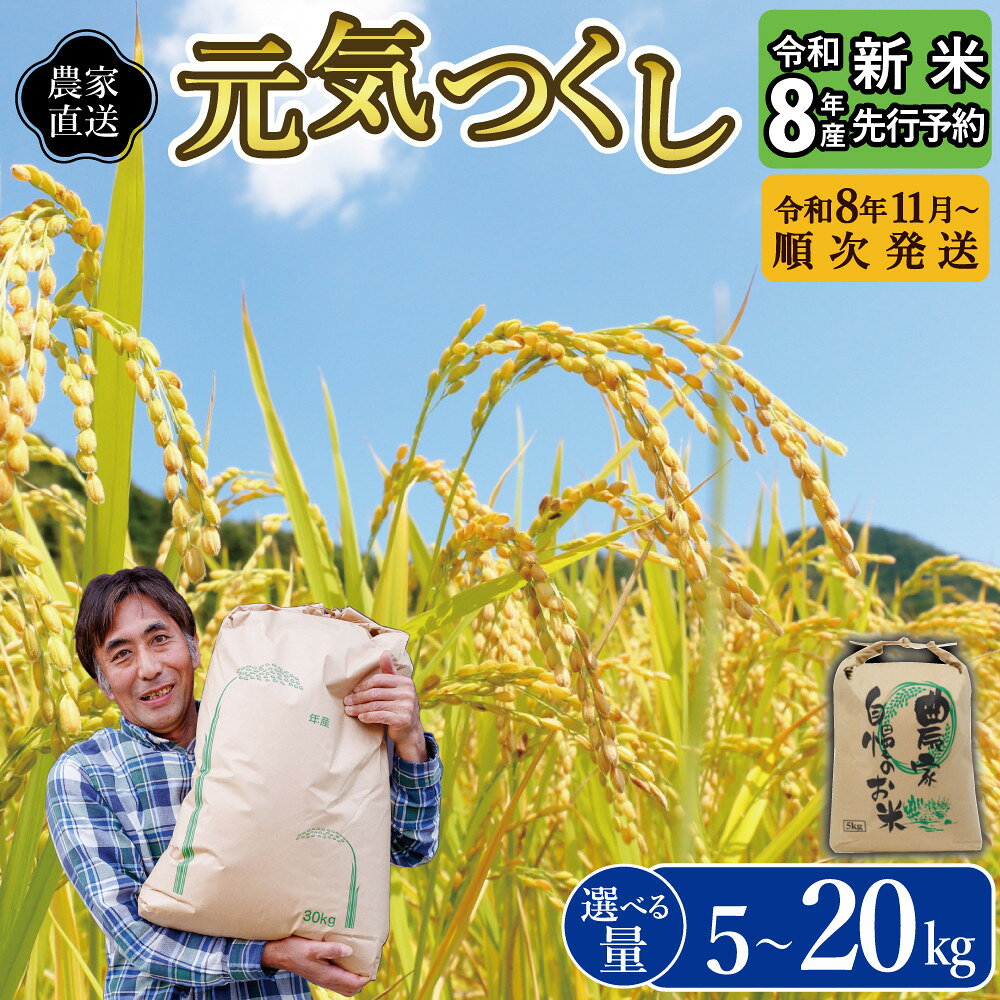 【ふるさと納税】＼令和8年産 ／ 福岡県大川市産 ブランド 米 元気つくし ≪容量選択可能≫ 5kg 10kg 15kg 20kg | お米 米 こめ 精米 白米 5kg袋 ライス ブランド米 ごはん ご飯 ふるさと納税 大川市