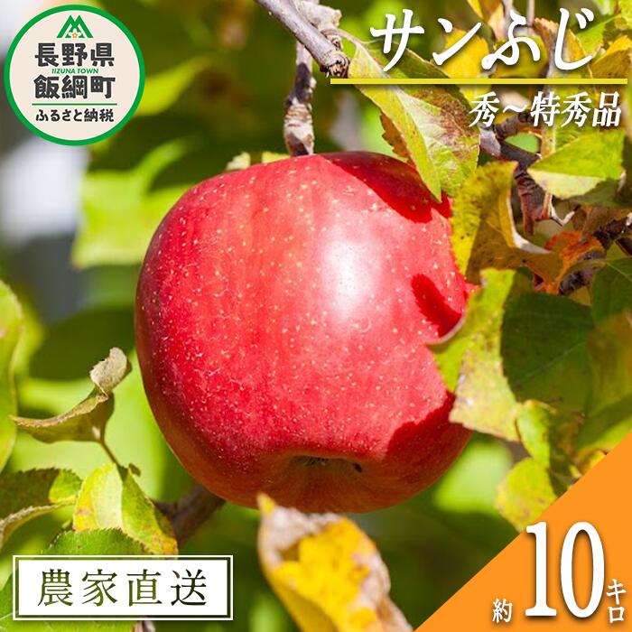 【ふるさと納税】 りんご サンふじ 秀 〜 特秀 10kg 松澤農園 令和7年度収穫分 長野県 飯綱町 〔 信州 果物 フルーツ リンゴ 林檎 長野 予約 農家直送 〕発送時期：2025年11月下旬〜2026年2月上旬 {***}