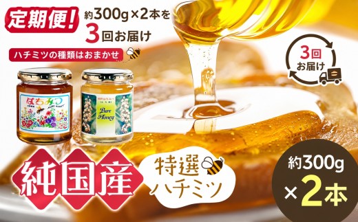 【定期便】芳川養蜂場特選ハチミツ 約300g × 2本 × 3回 | ハチミツ はちみつ 蜂蜜 国産 定期便 長野県 信州 木島平村