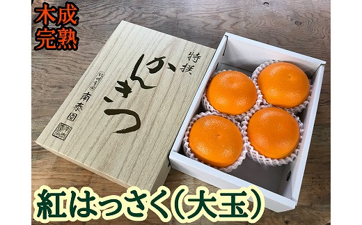 
木成完熟 紅はっさく 特秀 大玉 2L × 4玉入 化粧小箱 南泰園【2024年4月上旬～発送】
