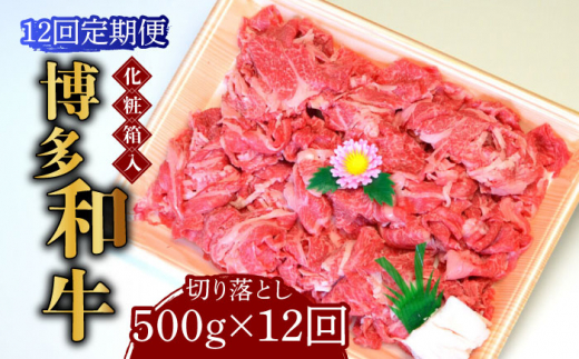 【全12回定期便】【化粧箱入】博多和牛A5〜A4 切り落とし 500g《築上町》【株式会社マル五】[ABCJ113]