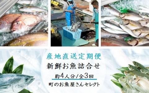 【3回定期便】魚屋さんの選んだ新鮮お魚詰め合わせ（約4人分）