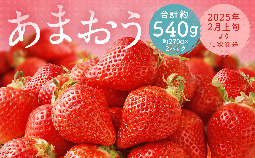 
福岡県産 あまおう 合計約540g 約270g×2パック 【2025年2月上旬～2月下旬発送】
