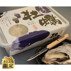 【さとふる限定】レンジで簡単蒸し牡蠣!厚岸産「マルえもん(Lサイズ)」32個(8個入×4パック)