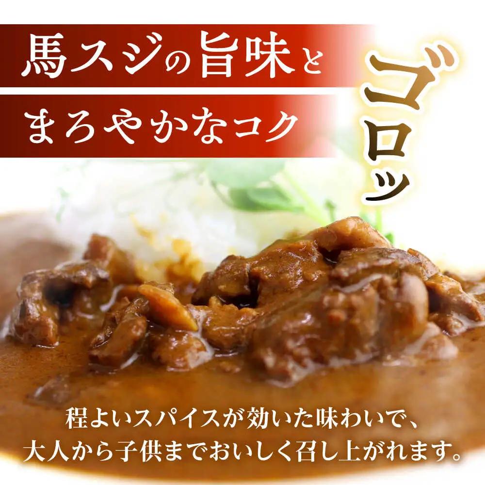 熊本 馬肉 馬スジのカレー 30食分（210g/食）カレー[AYAF116]