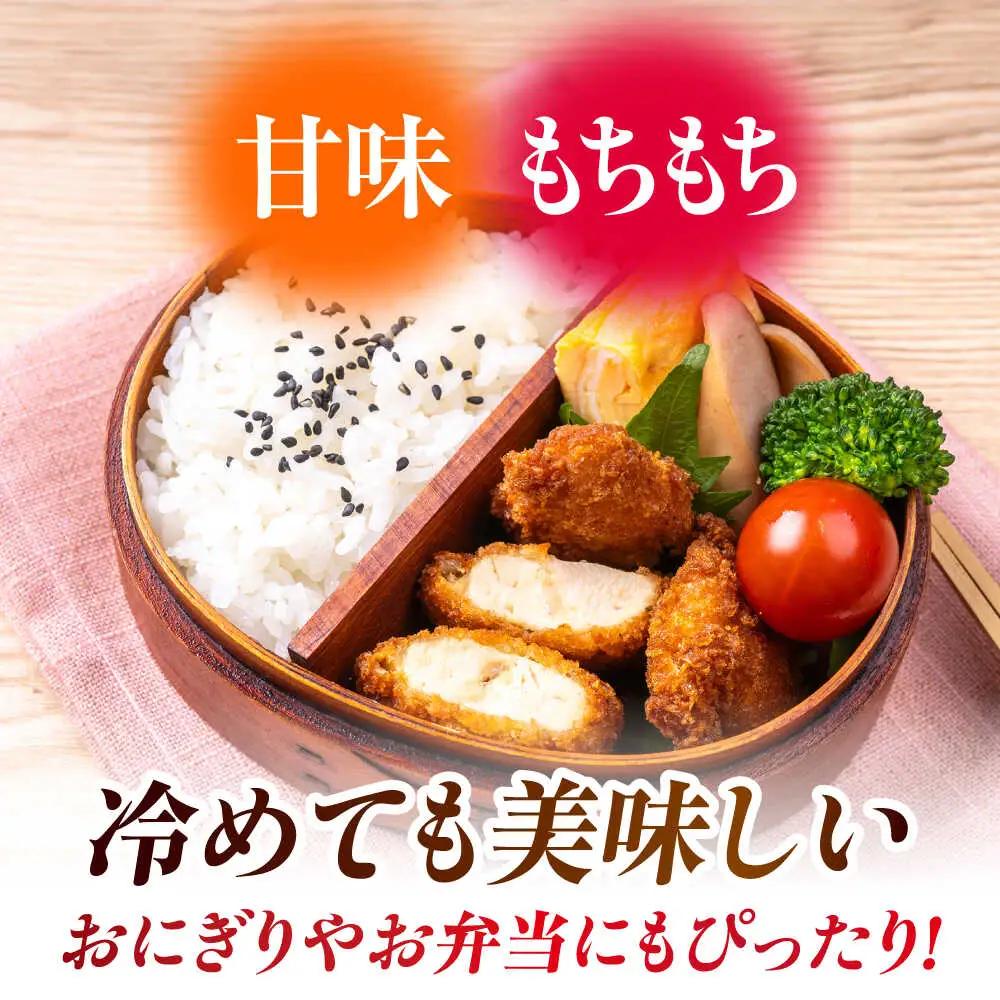 令和7年産くまさんの輝き白米5kg 熊本白米ZBI033
