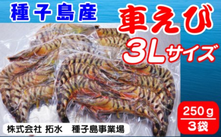種子島 産 車えび 3L サイズ 冷凍 車海老 (250g×3袋) 計750g　NFN427 【500pt】 
