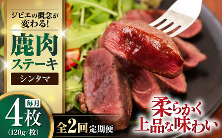 【全2回定期便】鹿肉 シンタマ120g×4枚 《喜茂別町》【EBIJIN】 ジビエ 鹿 シンタマ 希少部位 ステーキ ステーキ用 赤身 冷凍 冷凍配送 [AJAO044]