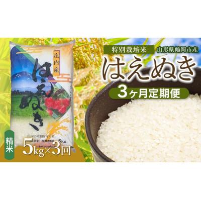 ふるさと納税 鶴岡市 【毎月定期便】斎藤農場の特別栽培米はえぬき5kg [K-837]全3回