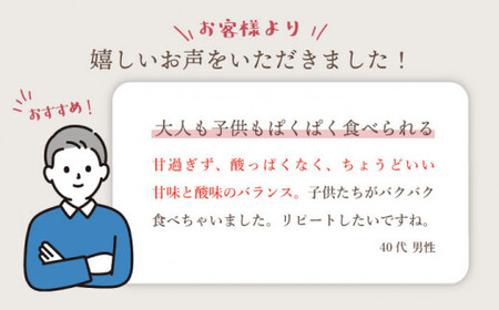 【先行予約☆贈答にもオススメ】 原口みかん 約 3kg ＜ファームまるだ＞ [CDT005] 長崎 西海 みかん ミカン 蜜柑 柑橘 温州みかん 贈答 ギフト