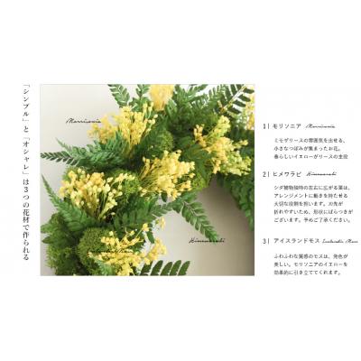 ふるさと納税 鳴門市 プリザーブドフラワー モリソニー【Fine】 |  | 01