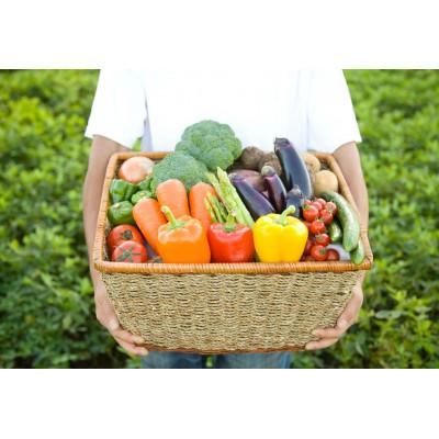 ふるさと納税 小川町 OGAWA'N野菜セット 旬の農産物おまかせセット 約3kg |  | 01