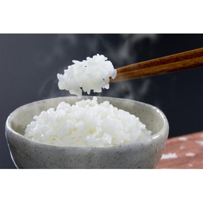 ふるさと納税 旭川市 【特Aランク】令和7年産米北海道産ななつぼし 精米合計10kg(5kg×2袋)【旭川市】_04808 |  | 01