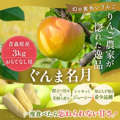 【10月から順次発送】糖度13度以上保証!ぐんま名月 約3kg(6～18玉) おもてなし用【配送不可地域：離島】