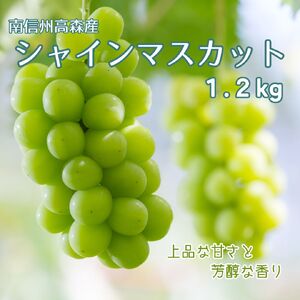 【南信州高森産】シャインマスカット1.2kg＜2026年9月中旬より発送＞