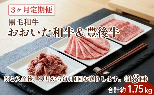 【3ヶ月定期便】 黒毛和牛 おおいた和牛＆豊後牛