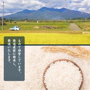 信州 長野県産 特A こしひかり 5kg 田端さくら米 コシヒカリ 新米 令和7年産