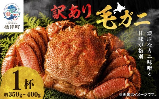【溢れる旨味！】こだわり品質 毛ガニ 若蟹 350g~400g 1杯 わけあり 国産 北海道 羅臼産 蟹 かに カニ 毛がに 毛蟹  冷凍毛ガニ 冷凍かに 冷凍カニ 訳ありカニ 訳アリ 訳アリ毛ガニ 訳あり毛ガニ 人気 ランキング おすすめ ごほうび 贅沢 毛ガニ冷凍 蟹脚 蟹あし カニ脚 かに北海道 北海道産 魚貝類 魚介類 海鮮 魚介 魚貝 お盆 お祝い プレゼント 北海道 標津町