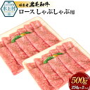 【ふるさと納税】球磨産黒毛和牛 ロースしゃぶしゃぶ用 合計500g (250g×2パック) 黒毛和牛 和牛 ロース お肉 牛 牛肉 スライス しゃぶしゃぶ 国産 熊本県産 冷凍 送料無料