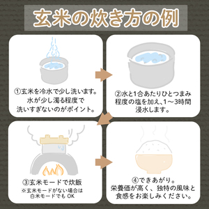 令和7年産 新米 玄米 コシヒカリ 10kg 玄米 栽培期間中 化学農薬不使用米