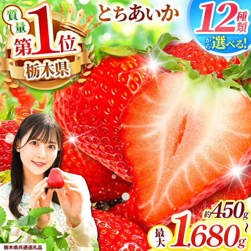 【ふるさと納税】 いちご 先行予約 最旬とちあいか ご褒美 訳あり 贈答用 いちご | いちご イチゴ フルーツ 果物 旬 とちあいか サイズお任せ 小粒 訳ありいちご 贈答用 美味しい 食べ比べ 特産品 ふるさと 納税 送料無料 栃木県 下野市 【栃木県共通返礼品】