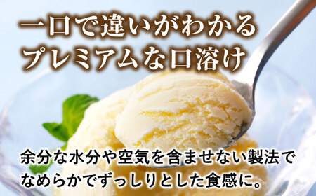 プレミアムアイスクリーム（8個入り）【cafe du glace】 [ATCL002]