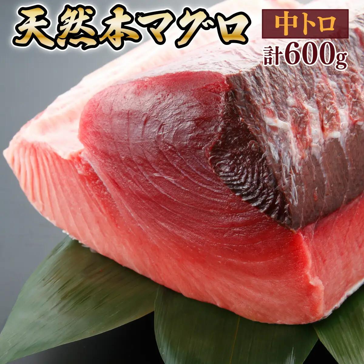 天然本マグロ　中トロ　３柵（６００ｇ）まぐろ 鮪 海鮮 冷凍 さしみ 刺身 父の日 高知 室戸 マグロ FN-Limited-PR