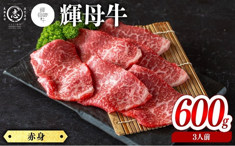 輝母牛焼肉用(赤身)(3人前600g/600g×1個) b9-004